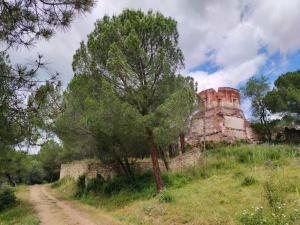 een oud kasteel op een heuvel met een boom en een onverharde weg bij Puente viejo de Buitrago CASA ENCINA in Buitrago del Lozoya