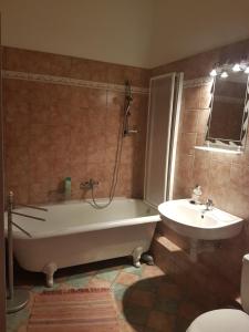 A bathroom at Brezovay Kastély Panzió