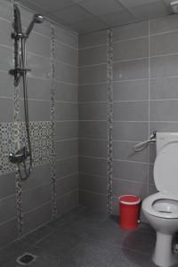 a bathroom with a shower and a toilet at Mreoma hostel in Majdal Shams