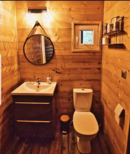 a bathroom with a sink and a toilet and a mirror at Gîte aux Deux Chênes in Diebolsheim