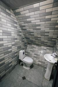 a bathroom with a toilet and a sink at Wooden cottage "green house" in Bakuriani in Bakuriani