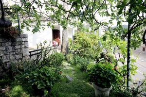 Guesthouse Drašković في بتروفاتس نا مورو: حديقة بها زهور ونباتات أمام المنزل