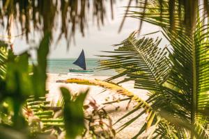 a sail boat on the beach with a palm tree at Casa PESQUEIRA Preá - Frente Mar! in Prea