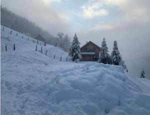 una pila de nieve delante de una casa en Marhütte, en Ebene Reichenau