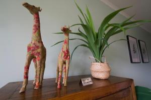 Mynd úr myndasafni af Sow and Piglets Guesthouse í Port Campbell