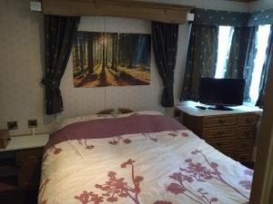 um quarto com uma cama e uma televisão numa cómoda em Spacious caravan with DG, CH & veranda em Skegness