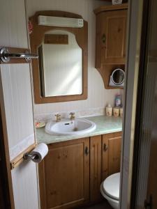 a bathroom with a sink and a mirror at Spacious caravan with DG, CH & veranda in Skegness