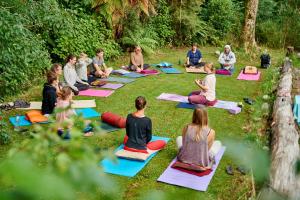 a group of people sitting in a yoga class in the grass at Greenstone Retreat in Kumara