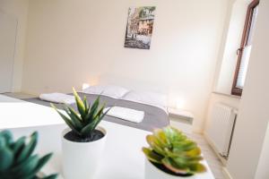 Fotografia z galérie ubytovania Apartament City Center Classic - Luxury Standard v Krynici-Zdrój
