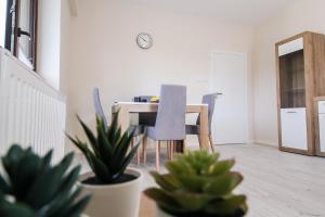 Kuchyňa alebo kuchynka v ubytovaní Apartament City Center Classic - Luxury Standard