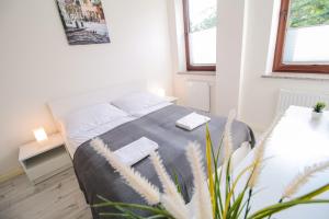 Posteľ alebo postele v izbe v ubytovaní Apartament City Center Classic - Luxury Standard