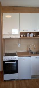 Kuchyň nebo kuchyňský kout v ubytování Apartman Ramonda Vrnjacka banja