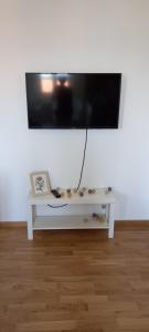 TV a/nebo společenská místnost v ubytování Apartman Ramonda Vrnjacka banja