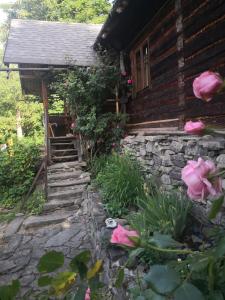 un chemin en pierre menant à une cabine avec des roses roses roses dans l'établissement Caputówka 100 letnia chata, à Rajcza