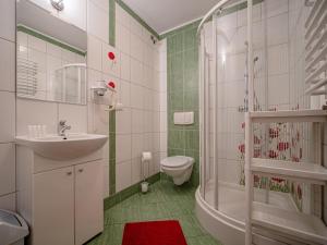 a bathroom with a sink and a toilet and a shower at Willa Szarotka in Gliczarów