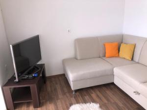 sala de estar con sofá y TV de pantalla plana en APARTMENT YVONE en Zavalatica