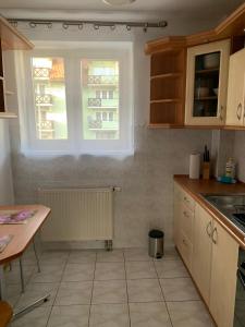 Dapur atau dapur kecil di Apartament Czarny Potok