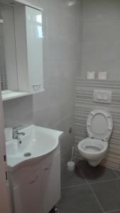 Ένα μπάνιο στο Apartment in Brodarica with sea view, balcony, air conditioning, WiFi (4731-5)