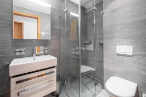 La salle de bains est pourvue d'une douche, d'un lavabo et de toilettes. dans l'établissement LAAX Homes - Taviarna Laax 1,9, à Laax