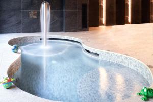Fotografie z fotogalerie ubytování SPA VILNIUS Druskininkai v destinaci Druskininkai