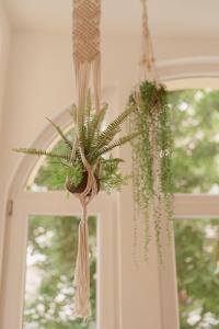 Afbeelding uit fotogalerij van ZION Apartments in Neuwied