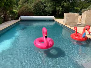 Swimmingpoolen hos eller tæt på Grande villa au coeur de la Dordogne
