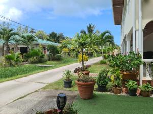 une rue avec des plantes en pot sur le côté d'un bâtiment dans l'établissement Tourterelle Holiday Home, à Grand Anse