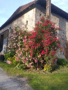 a bush of pink flowers on the side of a building at Maison de campagne à la ferme in Pillac