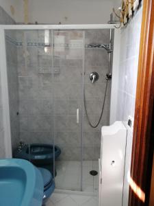 バーニ・ディ・ルッカにあるSassipiantati Home Holidaysのバスルーム(シャワー、青いトイレ付)