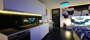 Dapur atau dapur kecil di Alps Spirits - B&B Studio