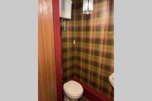 W łazience znajduje się toaleta i prysznic w kratę. w obiekcie Cottage With Hot Tub in Pembrokeshire w mieście Haverfordwest +14 zdjęć