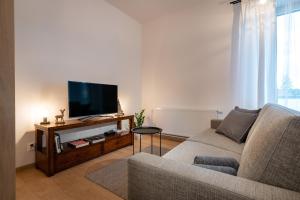 uma sala de estar com um sofá e uma televisão de ecrã plano em Apartment PEAK - Apartmany Bernard Stary Smokovec em Nový Smokovec