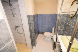 a bathroom with a shower and a toilet at Old Town Apartments in Alytus