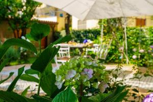 Vonkajšia záhrada v ubytovaní Villa Manning Relais