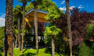 加爾達湖濱的住宿－TreeLodgy, The Tree House，棕榈树环绕的房子