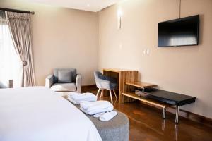 路易特里哈特Schimper View Boutique Guest House的一间酒店房间，墙上有一张床和一台电视