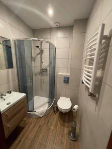 a bathroom with a shower and a toilet and a sink at Willa Maciejka in Gdańsk