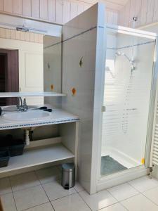 a bathroom with a shower and a sink at Maison avec terrasse à 50 m de la mer in Pornic