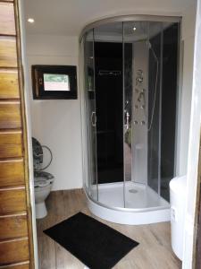 W łazience znajduje się prysznic ze szklanymi drzwiami. w obiekcie Wellness Kokořín w mieście Kokořín