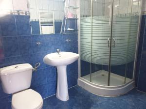 ScheiaにあるPensiunea ODNのバスルーム(トイレ、洗面台、シャワー付)