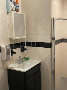 a bathroom with a sink and a shower at Chelsea Rooms NYC in New York