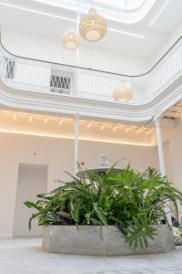 Zdjęcie z galerii obiektu Suites Alfonso X w mieście Jerez de la Frontera