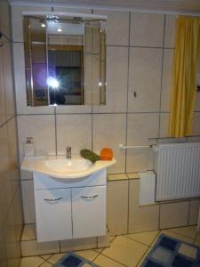 ein Badezimmer mit Waschbecken, Spiegel und Dusche in der Unterkunft Fewo Rabe in Lauterbach