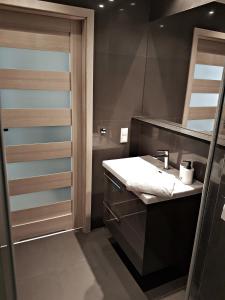 a bathroom with a sink and a shower at SleepWell in Zielona Góra