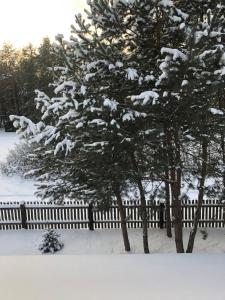 Obiekt Czerwony Domek na Podlasiu przy lesie zimą