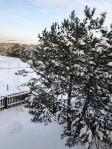 Obiekt Czerwony Domek na Podlasiu przy lesie zimą