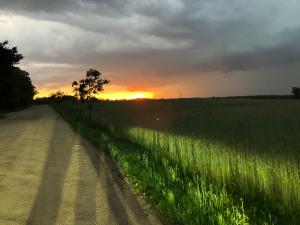 Wschód lub zachód słońca widziany z tej willi
