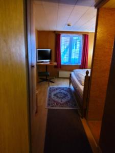 TV a/nebo společenská místnost v ubytování Hotel Gotthard