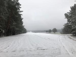 Obiekt Czerwony Domek na Podlasiu przy lesie zimą