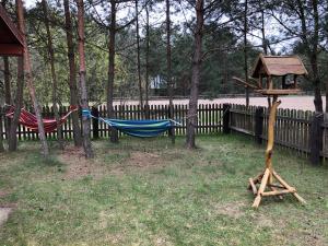 hamak i ptasi domek na podwórku w obiekcie Czerwony Domek na Podlasiu przy lesie w mieście Mielnik